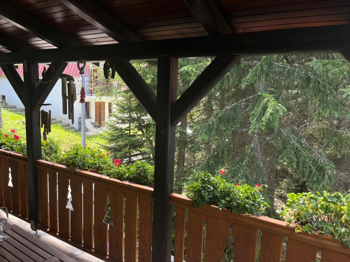 Vila Idila Žabljak Εξωτερικό φωτογραφία